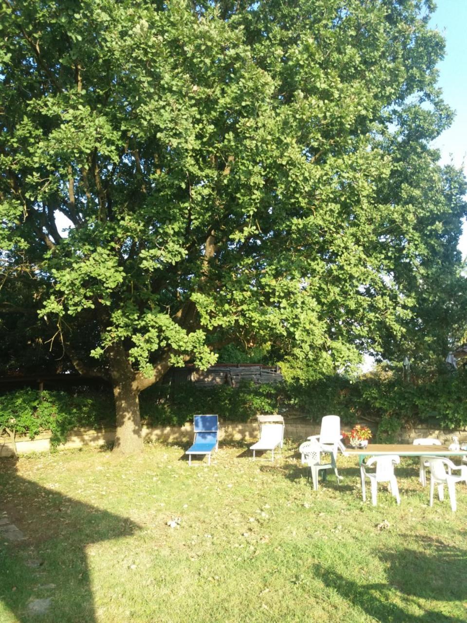 Vila Autenticum Agriturismo Canale Monterano Exteriér fotografie